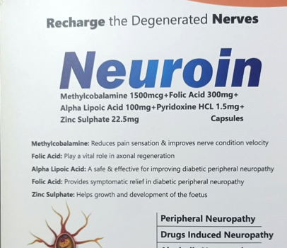 Neuroin