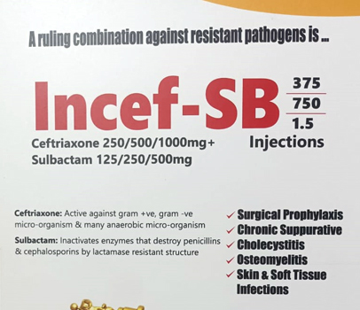 Incef-SB Injection